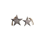 Stern | Nickel | mit Schnur | 2 Grössen | Weihnachten