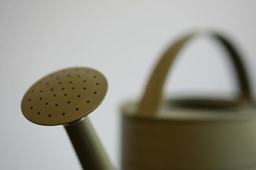 Giesskanne olive matt (Aufsatz mit Schraubverschluss und Dichtung)