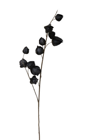 Lampion-Kunstblume schwarz