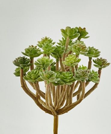 Kunstpflanze | Sukkulenten-Pick | Deko | Moderne Arrangements