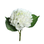 Hortensie | Weiss | Blumen Deko | Vasenblume Deko | Florale Dekoration