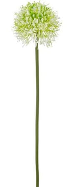Allium | Weiss | Kunstblume | Frühlingsdeko | Vasenblume