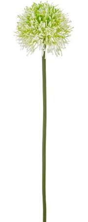 Allium | Weiss | Kunstblume | Frühlingsdeko | Vasenblume