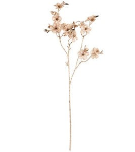  Blütenzweig | Champagne | Florale Dekoration | Zweig Deko | Vasenblume