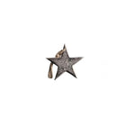 Stern | Nickel | mit Schnur | 2 Grössen | Weihnachten