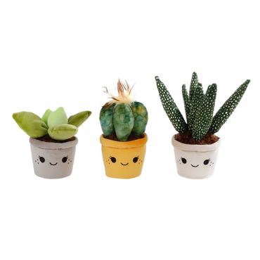 Plüschpflanze | Deko Pflanze | Geschenkidee witzig | Plüschblume Kinderzimmer