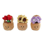 Plüschpflanze | Deko Pflanze | Geschenkidee witzig | Plüschblume Kinderzimmer