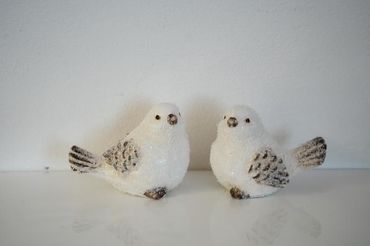 Vogel