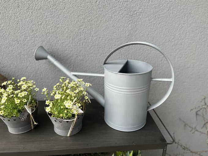 Spritzkanne | Giesskanne | Zink | 9 Liter