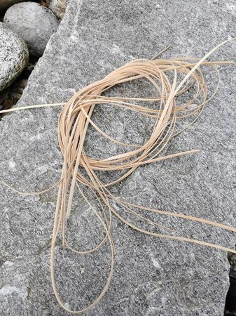 Peddigschienen flach - 1 Kg