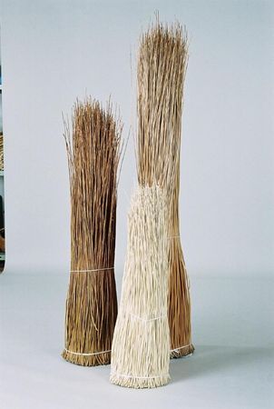 rohe Weiden | 10 kg | 350 cm