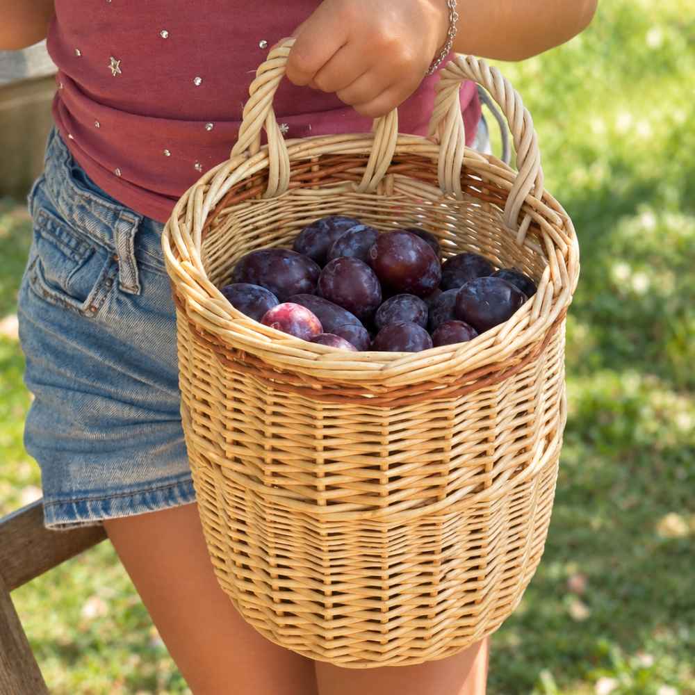 Obstpflückkorb | Weiss/Naturbraun | CH-Produkt | Ø 20 cm